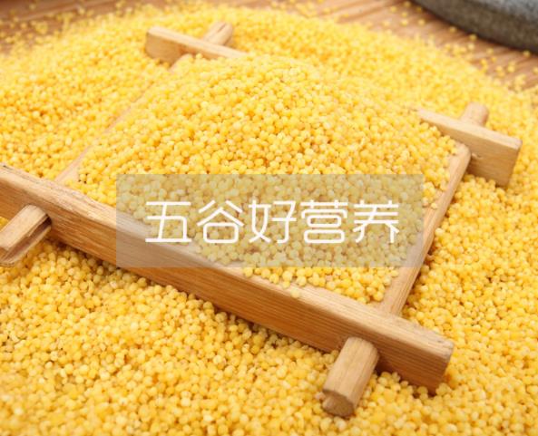 小米