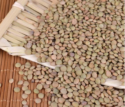 Lentils
